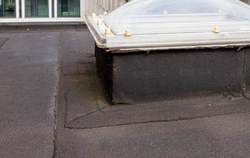 disadvantages of Burdrop flat roofs